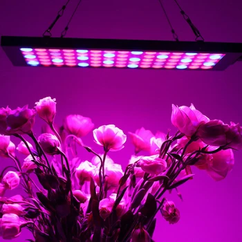 600w Hidropônico LEVOU Cresce a Luz de Espectro Completo Interior Veg&Flor de Crescimento de Plantas Lâmpada Para o Interior da Planta Mudas Crescem Flores de Crescimento