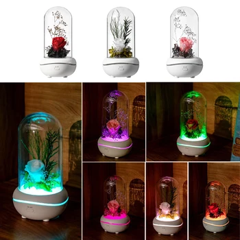 Preservado Fragrância de Flores Lâmpada Difusor de Aroma Portátil Atmosfera Colorida Luz Recarregável USB Difusor de Aroma Presente de Aniversário
