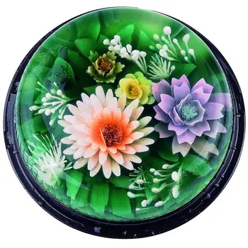 5PC/SET Flor 3D Gelatina de Geléia de Arte Agulha Ferramentas de Geléia de Bolo Pudim de Gelatina de Bico