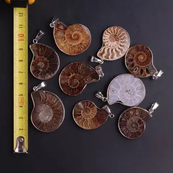 24pcs Concha de Caracol de Mar de Conchas de Animais Colar Pingentes de Pedras Naturais Pingentes fabricação de Joias Para Mulheres Colar Brinco