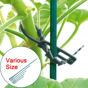 Jardinagem Auxiliar de Multi-uso Reutilizáveis Laços Para a Escalada Fácil de Plástico Flexível Fábrica de Laços de Cabo de Plantas 10pcs/lot