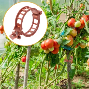 100pcs Anti-Flexão de Tomate Haste de Suporte de Clipes de Jardim de Plantas Clipes de Fixação