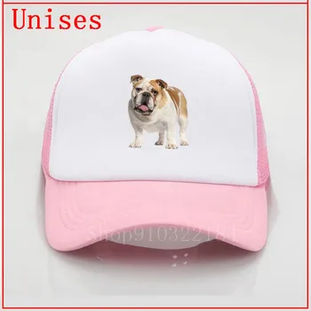 3D Bulldog inglês de chapéu com plástico protetor chapéu para as meninas criss cross rabo de cavalo chapéu de verão chapéus para mulheres de chapéu para homens moda