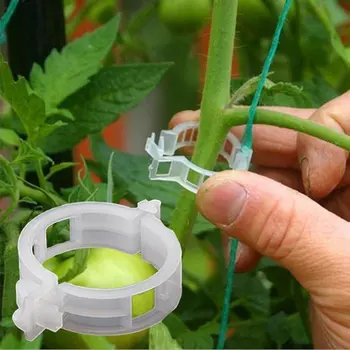 Vinha De Fixação Do Clipe De Aumentar A Eficiência De Plantas De Tomate Suprimentos Clip De Plástico Melancia Clipe Durável E Leve Clip
