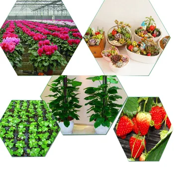 Lâmpadas LED para as plantas e aquários 14 LEDs SMD5730 660nm 455nm espectro para o plantio de flores e vegetais, vasos de plantas