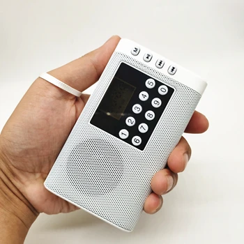 Bolso recarregável Rádio FM Rádio Leitor de MP3 Portátil Mini Receptor de Rádio alto-Falante suporta TF Cartão de Presente para os Pais