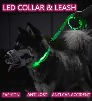 Nylon DIODO emissor de Luz de animais de Colarinho Luminosa Fluorescente Cão Levar a Noite de Segurança Piscando No Escuro Multi-cor Coleiras de couro genuíno