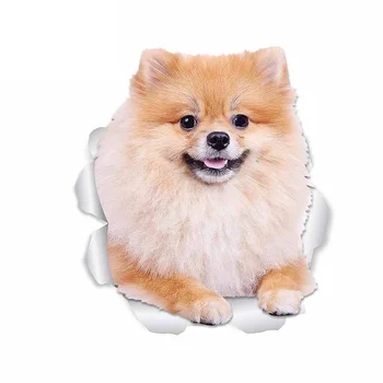 13cm X 11,5 cm para Pomeranian Cachorro Estilo Carro Adesivos Tronco Decalque Impermeável de Vinil Material Adequado para VAN RV Decoração Auto