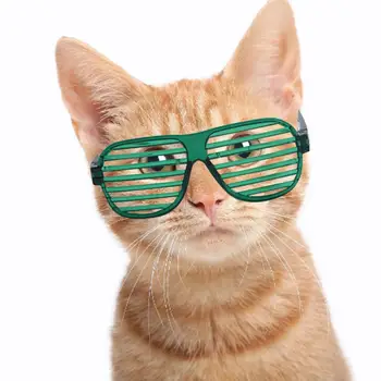 Lindo Gato de Estimação Óculos animal de Estimação Óculos Obturadores de Design Decorativo Elegante Óculos de sol de Fotografia Prop para o Partido Gato Acessórios