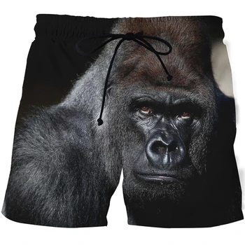 Shorts masculinos Gorila Gráfico Shorts impressos em 3D calções de praia de homens de sunga, shorts de homens verão calções de banho dos homens de calções de desporto