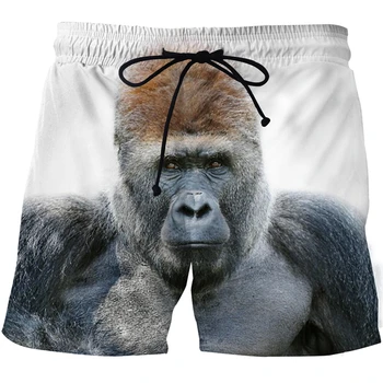 Shorts masculinos Gorila Gráfico Shorts impressos em 3D calções de praia de homens de sunga, shorts de homens verão calções de banho dos homens de calções de desporto