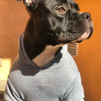 Cão Roupas Grandy Hoodies para Cães de Pequeno porte, Bonito Bulldog francês de Moletom com Capuz, Cool T-Shirt para Frenchie