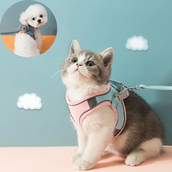Moda Gato Arreios para Gatos Verão de Malha Pet Chicote e Correia Conjunto Katten Kitty Mascotas Produtos para Gotas Acessórios