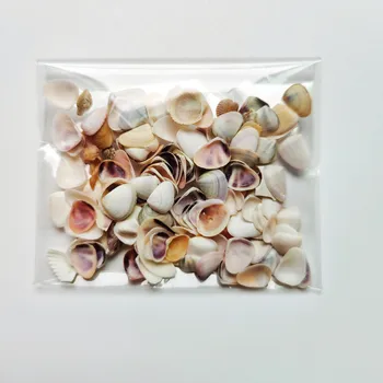 1 Saco de Muita interessante colorido misto de pequenas conchas do mar aquário náutico decoração enfeites naturais mini concha Mediterrâneo