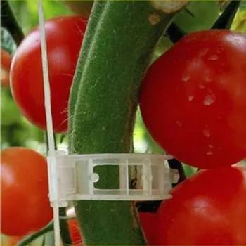 50PCS de plástico reutilizável planta de suporte de clipes para as plantas de suspensão vinha clipes de jardim de gases com efeito de vegetais tomate clipes planta clipes