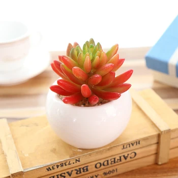 Artificial de suculentas plantas bonsai falso plantas com cerâmica branca pote de gordura plantas para casa e jardim/juventude secretária decorações 1pc