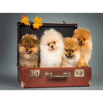 Animal Cão Pomeranian DIY Bordado 11CT Ponto de Cruz, Kits de Costura Artesanato Conjunto de Impressos de Lona de Algodão Segmento de Home Design