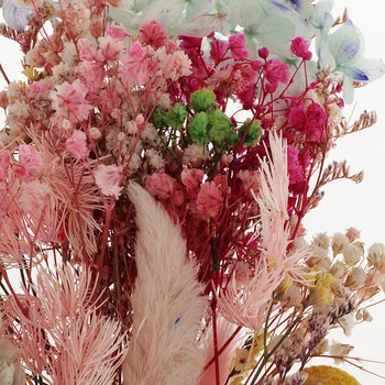 Natural de Flores Secas Combinação de DIY Pressionado Flor Decorativa para a Resina Scrapbooking Cartão de fazer DIY Enfeite