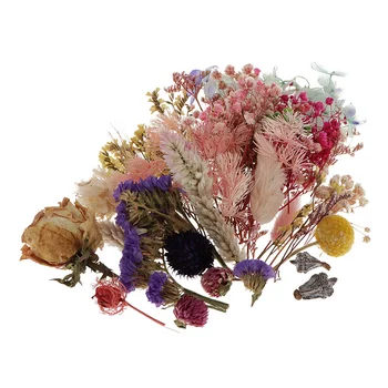 Natural de Flores Secas Combinação de DIY Pressionado Flor Decorativa para a Resina Scrapbooking Cartão de fazer DIY Enfeite