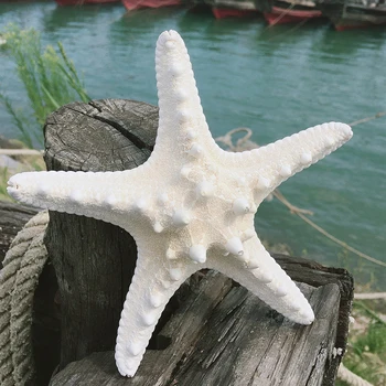10pcs Branco Knobby Peixes Estrelas Naturais Secas Estrela do mar Estrela do Mar Praia de Artesanato de Casamento Decoração da Casa Pendurar Enfeites de Tiro Adereços