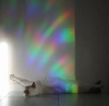 Hexágonos arco-íris, Sol Catcher Adesivo Set - arco-íris Maker - Favo de mel do Decalque Se apega para Janela -Hexágono Luz Catcher - Prisma