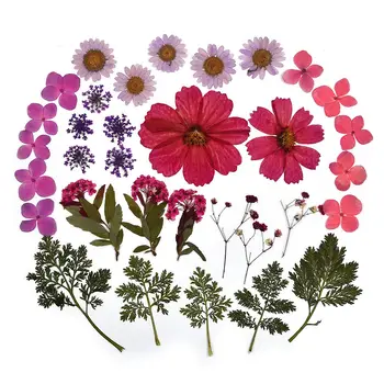 1 Saco Colorido Real Secas Flor da Planta Para Aromaterapia Vela de Resina Epóxi Pingente de Colar de Jóias que faz Artesanato DIY Acessórios