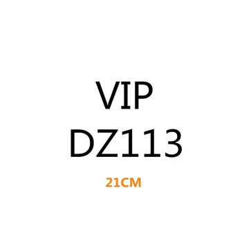 DZ113-21