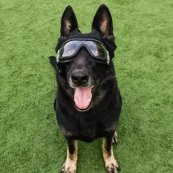 Cão de estimação Óculos de Médio e Grande Cão de Estimação Óculos de sol UV animal de Estimação Óculos Impermeável Cão Óculos de Proteção Para a Caça de Formação Acampamento #