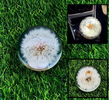 Bola De Cristal Dente-De-Leão Flores Reais Botão De Mudança De Carro, Câmbio De Alavanca Vara Cabeça