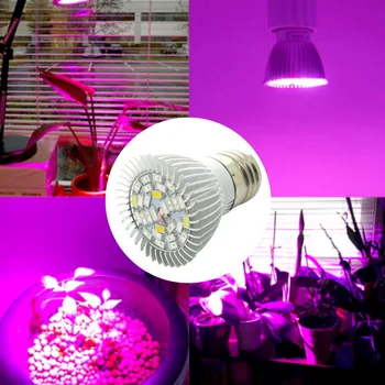 Espectro completo cfl LED Cresce a Luz Lampada E27 E14 GU10 110V 220V Plantas de Interior da Lâmpada de Floração Sistema de Hidroponia IR UV Jardim