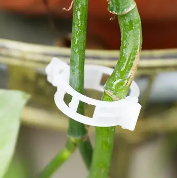100pcs Plástico Planta Suporta Clipes Para Tomate de Suspensão Latada de Vinha se Conecta Plantas de gases com efeito de Legumes Ornamento de Jardim