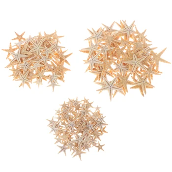 100pcs Conchas do Mar Tamanho:0.5-3cm Mini Estrela-do-mar de Artesanato Decoração Natural Estrelas-do-Mar DIY Beach Cottage Decoração do Casamento de Artesanato de Casamento