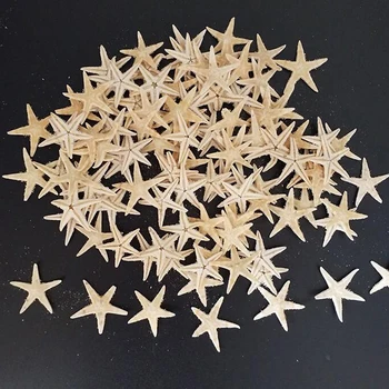 100pcs Conchas do Mar Tamanho:0.5-3cm Mini Estrela-do-mar de Artesanato Decoração Natural Estrelas-do-Mar DIY Beach Cottage Decoração do Casamento de Artesanato de Casamento