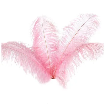 10 pcs Natural de Penas de Avestruz nas Festa de Casamento Decoração cor-de-Rosa 20-25cm
