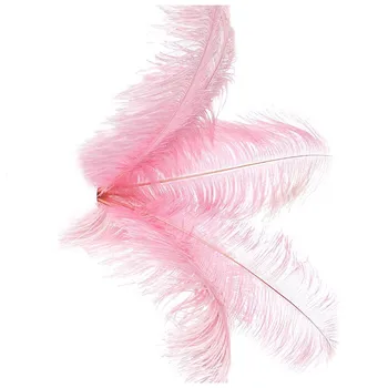 10 pcs Natural de Penas de Avestruz nas Festa de Casamento Decoração cor-de-Rosa 20-25cm