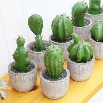 Cactus Plantas Artificiais Com Pote Falso Bonsai, Decoração Para A Sala De 2021 Adolescentes Verde Falso Plantas Artificiales Decoração