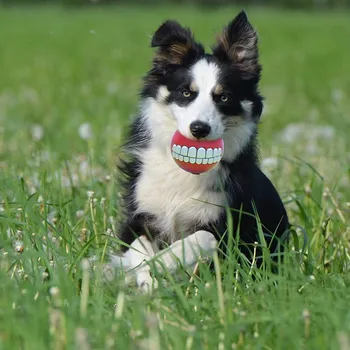 Engraçado Interativa De Brinquedos Para Cão Squeaky Limpeza De Dentes De Cão Colorido Bola Animal De Estimação Brinquedo De Som Resistente À Mordida De Cachorro Mastigar Bola De Produtos Para Animais De Estimação